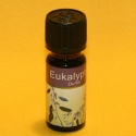 Duftöl Eukalyptus