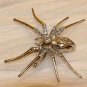 Fashion  Aranha silber