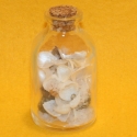 Strandflasche mit Dekormuscheln
