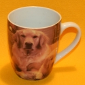 Tasse Motiv Hund mit Welpen